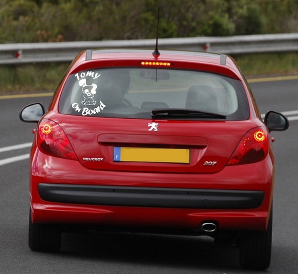 Example of wall stickers: Dog on board 3